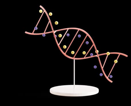 Esame genetico della coppia