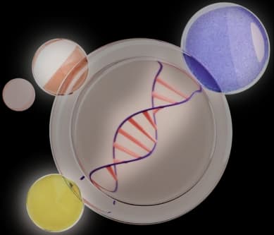 Esame genetico degli embrioni