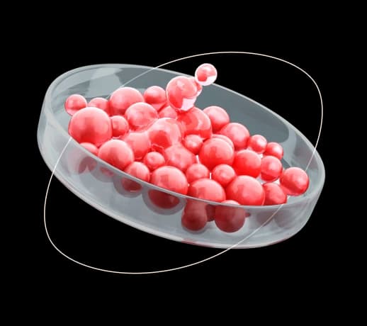 <strong>Qu'est-ce que</strong> le traitement FIV ?